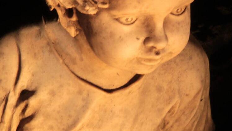 Der beleuchtete Garten der Familie Eichner aus Harsdorf. Foto: Jürgen Gärtner