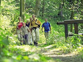 Elf Mühlen sind auf dem 18 Kilometer langen Mühlenwanderweg, der sich wie ein grüner Pfad durch den Frankenwald schlängelt, miteinander verbunden. Symbolbild: Frankenwald-Tourismus