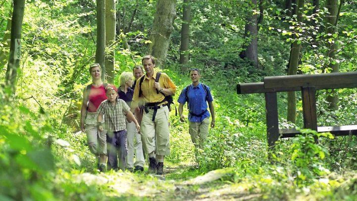 Elf Mühlen sind auf dem 18 Kilometer langen Mühlenwanderweg, der sich wie ein grüner Pfad durch den Frankenwald schlängelt, miteinander verbunden. Symbolbild: Frankenwald-Tourismus