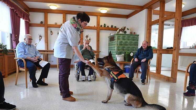 Therapiehund Aramis bei den Senioren im Kulmbacher WohnstiftFoto: Ronald Rinklef