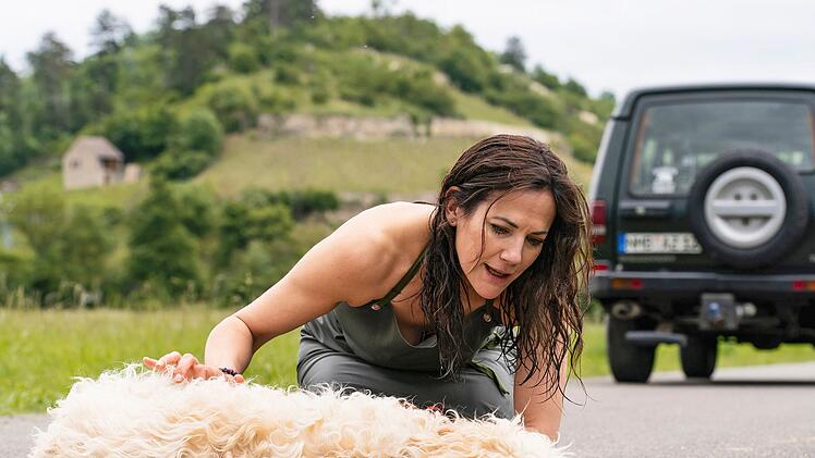 Ausgerechnet an dem Morgen, an dem sich ihre neue Kollegin vorstellen soll, läuft der Tierärztin  Maja Freydank (Bettina Zimmermann) ein Hund vors Auto.