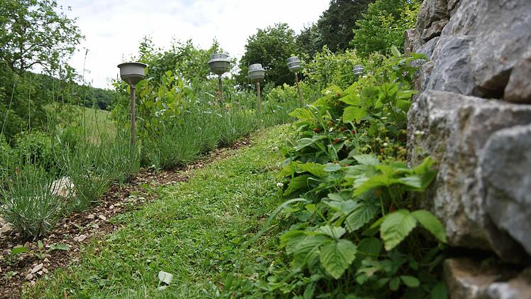 Im Garten der Familie Schneider
