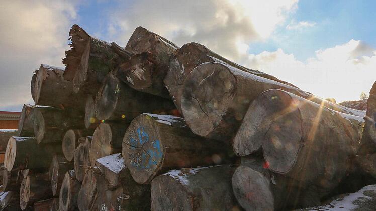 Dezember: Bäume und Holz sind das Geschäft des Landwirts Benno Beck aus Morschreuth (Landkreis Forchheim). Er zählt zu den größten Holzhändlern im Freistaat. Foto: Barbara Herbst