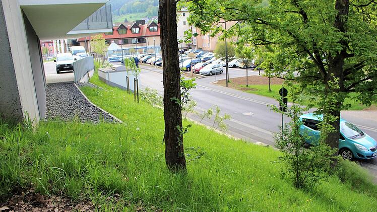 Seltener Blick auf die Ernst-Putz-Straße von einer ehemaligen Verbindung hoch zur Hartstraße.  Foto: Julia Raab