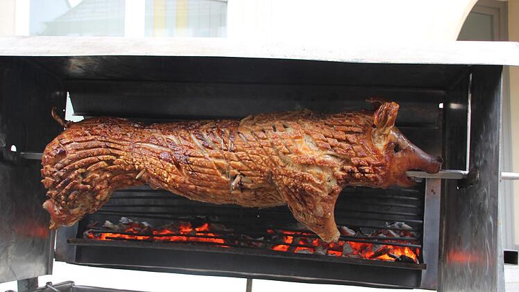 Armes Schwein