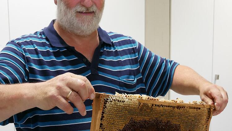 Landwirt und Hobby-Imker: Jürgen Horn leitet die Bienen-AG. Foto: Bauer