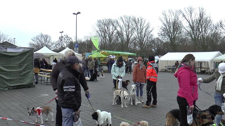 Neue Kontakte knüpften nicht nur Frauchen und Herrchen, sondern auch die Hunde. Christian Licha