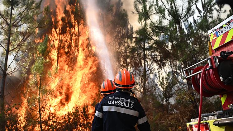 Waldbr&auml;nde in Frankreich