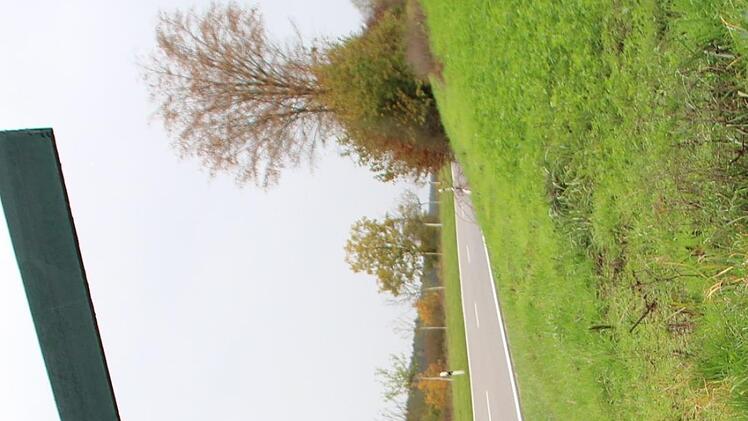 Auch im Weisachgrund stehen mahnende grüne Kreuze.  Foto: Andreas Dorsch