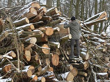 Sieht so das Ergebnis einer Heckenpflege aus oder soll hier ein Jahrhunderte alter Hohlweg in Euros umgewandelt werden? Fragen, die man sich in Burgwindheim stellt.   Fotos: R. Rinklef