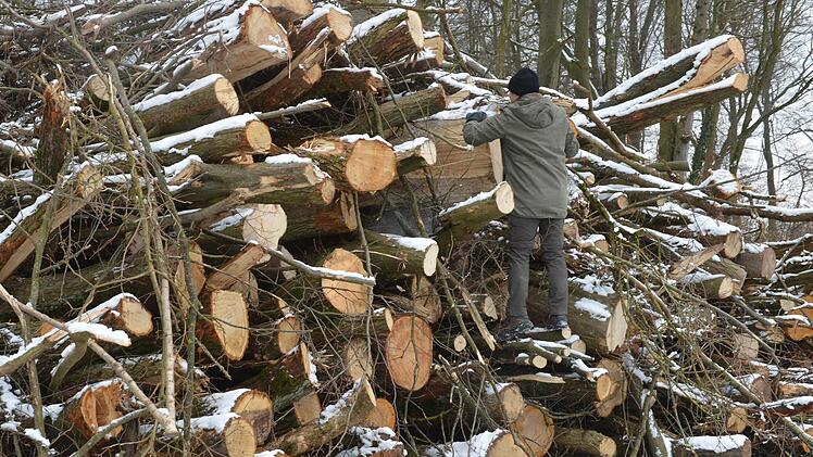 Sieht so das Ergebnis einer Heckenpflege aus oder soll hier ein Jahrhunderte alter Hohlweg in Euros umgewandelt werden? Fragen, die man sich in Burgwindheim stellt.   Fotos: R. Rinklef