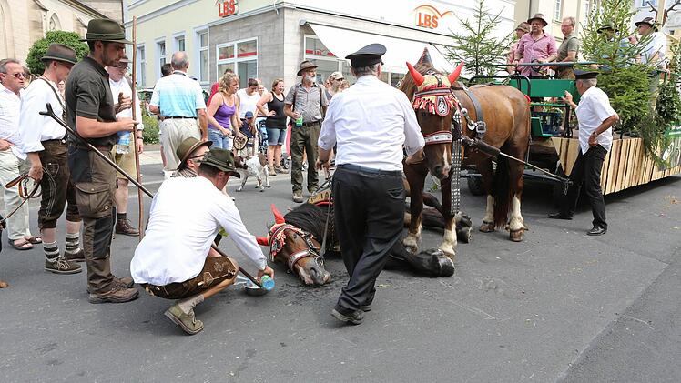 Das kollabierte Pferd