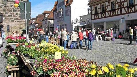 Das blühende Angebot erfreute die Passanten. Foto: Richard Sänger
