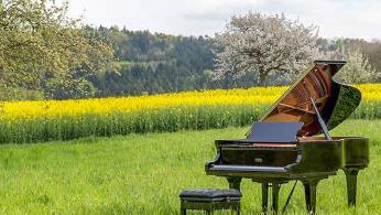 Ob Steinway, Fazioli, Yamaha oder Blüthner - die Flügel aus der Fachwerkstatt von Rolf Müller treten von der Provinz aus ihre Reise in die große Welt an. Dank Internet ist Neuensorg für die internationale Firma ein guter Standort. privat