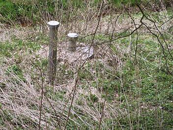 Weil ein Biber am Krechenbach einen Damm baut, droht die Wiese zu versumpfen. Dort aber liegt die alte Eckartser Quelle. Foto: Ulrike Müller