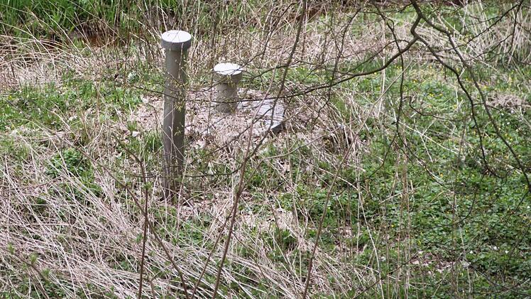 Weil ein Biber am Krechenbach einen Damm baut, droht die Wiese zu versumpfen. Dort aber liegt die alte Eckartser Quelle. Foto: Ulrike Müller