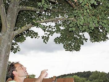 Der Vorsitzende des Tanzlindervereins Lothar Semmelmann erklärt, wie die Langenstädter Tanzlinde gezogen werden muss, damit optimal auf ihr getanzt werden kann.  Foto: Julia Schilling
