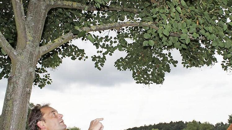 Der Vorsitzende des Tanzlindervereins Lothar Semmelmann erklärt, wie die Langenstädter Tanzlinde gezogen werden muss, damit optimal auf ihr getanzt werden kann.  Foto: Julia Schilling