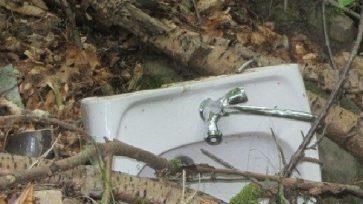 Sanit&auml;rbedarf wird von der Natur am Wegesrand &uuml;berwuchert. Wo Wanderer in der Rh&ouml;n die Natur genie&szlig;en wollen, hinterlassen andere Hausm&uuml;ll und Unrat.Johannes Schlereth