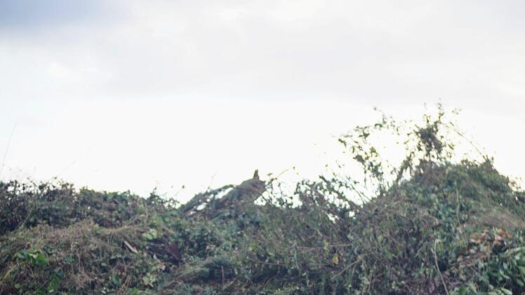 Eine Bank und ein Wagenrad haben dort nichts verloren. Foto: Bastian Sünkel