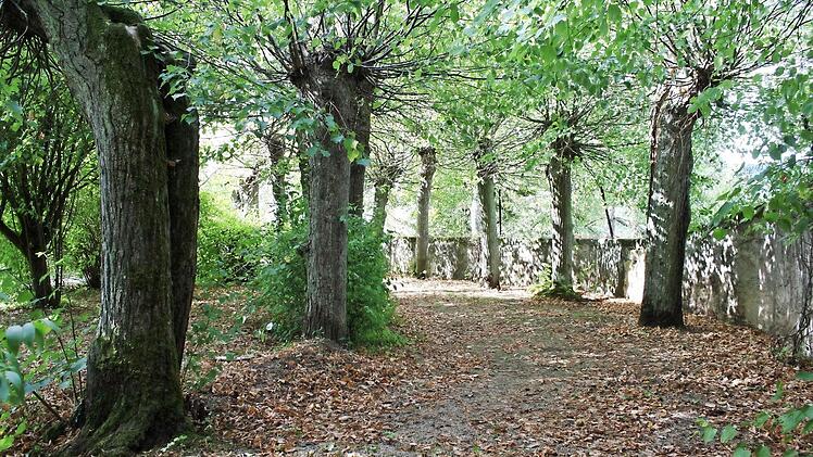 Der ehemalige Lindenberceau (Lindengang) ist noch gut erhalten.