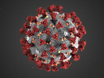 Coronavirus Illustration