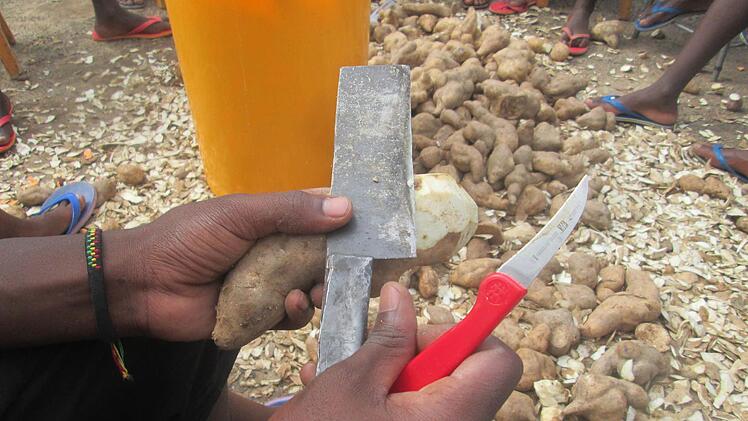 Schon beim ersten Blick fällt auf, dass sich das afrikanische Kartoffelschälmesser ganz wesentlich vom Küchenutensil in unseren Breitengraden unterscheidet.Foto: Archiv Alfred Schäfer