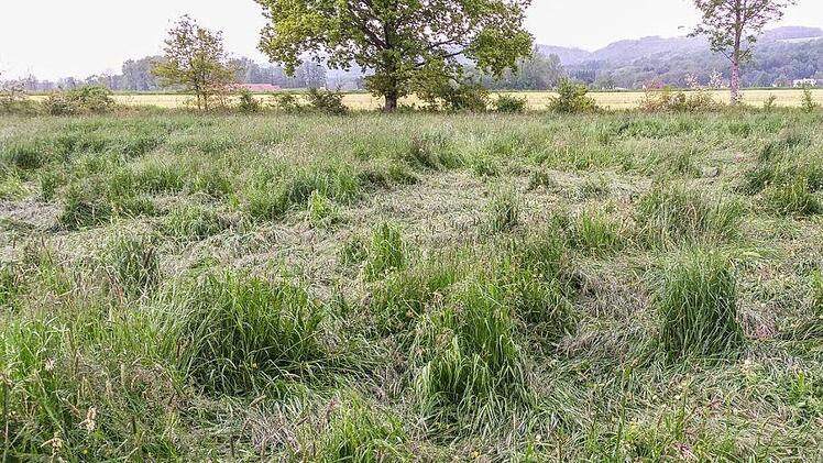 Diese Spuren in einem Feld sind für Christopher Pittrof ein Beleg, dass dort tatsächlich ein Tornado getobt hat. Foto: Christopher Pittrof
