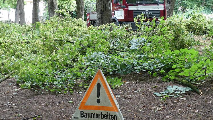 Volkach: Bäume werden gefällt - Stadt mit Infos und Hinweisen für Bürger