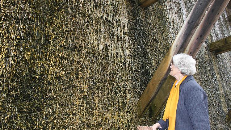 Die grünlichen Algenablagerungen zeugen nach Meinung von Hilla Schütze von einem falschen Betrieb des Gradierwerkes. Fotos: Thomas Mäuser