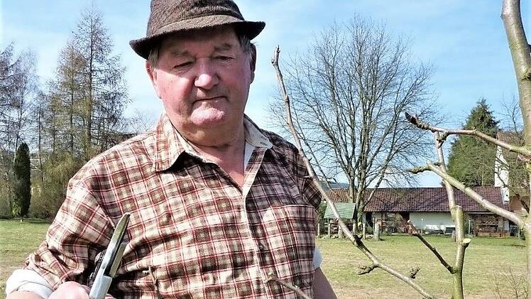 In den Gartenbauvereinen spielen Obstbäume eine wichtige Rolle; im Bild Ehrenvorsitzender Edgar Daum aus Neukenroth - ein Baumwart und Veredelungsexperte  Foto: Gerd Fleischmann