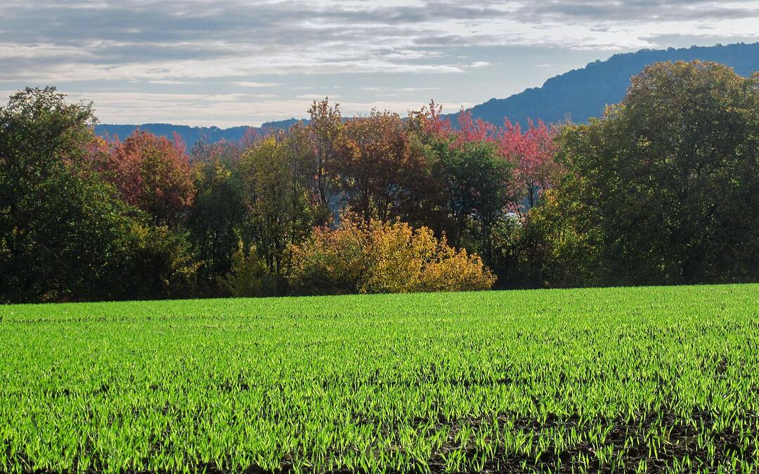 Fotos Konrad Thomann