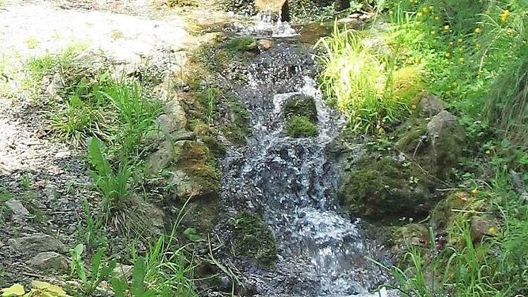 Fröhliches Plätschern mitten im Wald: der Mönchsbrunnen Foto: Reinlein