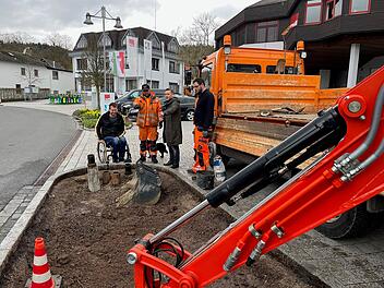 Ahorn: Resistente Pflanzen gegen den Wassermangel - Landschaftspfleger legt Testflächen an Ahorn: Resistente Pflanzen gegen den Wassermangel - Landschaftspfleger legt Testflächen an