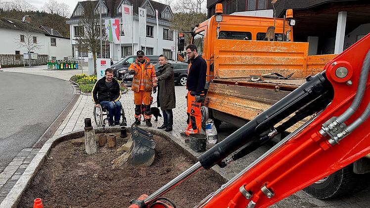 Ahorn: Resistente Pflanzen gegen den Wassermangel - Landschaftspfleger legt Testfl&auml;chen an