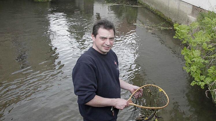 Tote Fische aus der Trubach im Käscher. Angeln macht mehr Spaß.