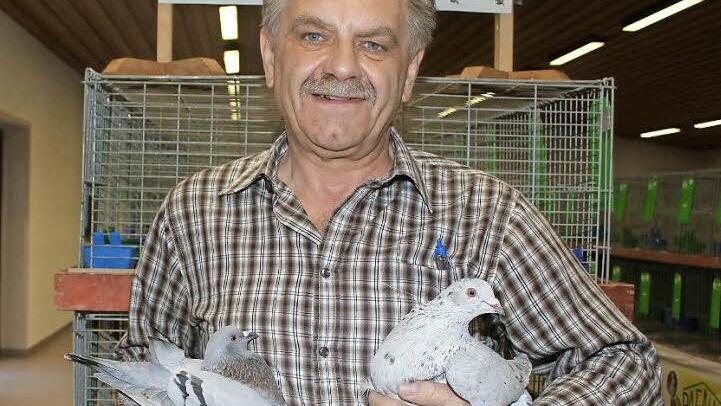 Hardy Gantke zeigt seine seltenen Texanertauben: Er züchtet die Tiere in kennfarbig-dunkel. Das bedeutet, dass die männlichen Tauben weiß und die weiblichen blau oder schwarz gefärbt sind. Zum letzten Mal gab es vor sechs Jahren eine Sonderschau für Texanertauben. Foto: Sonja Adam