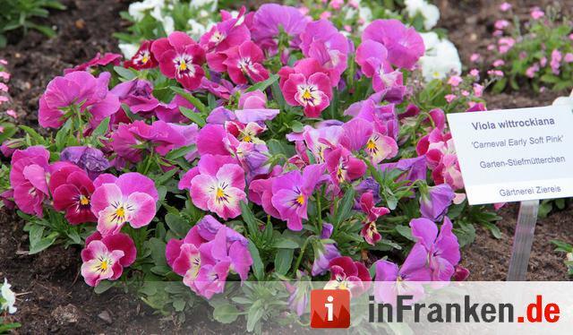 Landesgartenschau Bamberg