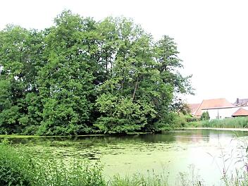 Der Badweiher in Weisendorf  Foto: Richard Sänger
