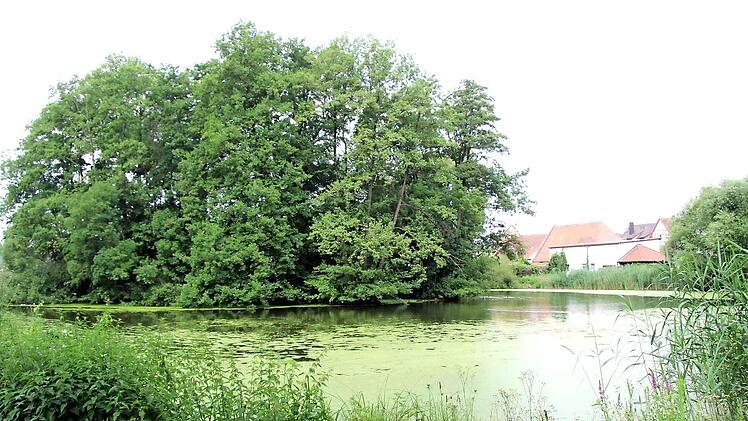 Der Badweiher in Weisendorf  Foto: Richard Sänger