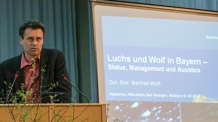 Manfred Wölfl  Foto: Björn Hein