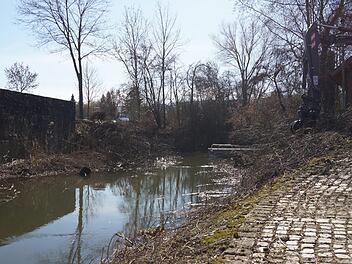 Die Ufer am Zufluss zum Mühlrad sind frei geschnitten.Foto: Arkadius Guzy