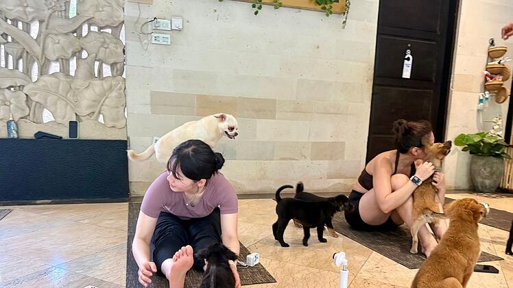 Wellness-Trend Puppy Yoga
