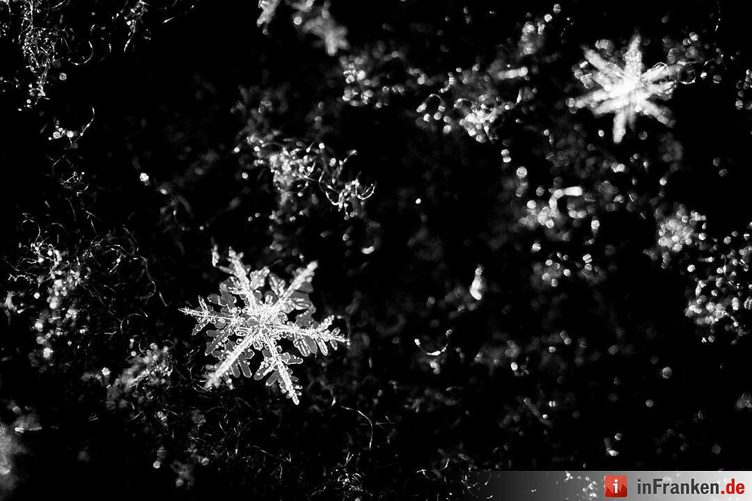 Eis und Schnee in Franken - die schönsten Winterleserfotos
