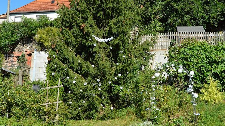 Der inzwischen stattliche Hochzeitsbaum der Schwarzer, der von den Nachbarn zur Silberhochzeit geschmückt wurde.