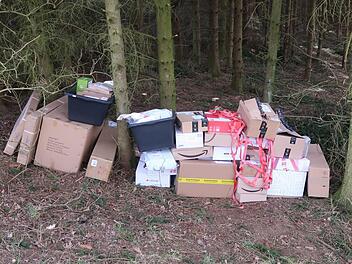 Statt die Pakete den rechtmäßigen Empfängern zu übergeben, entsorgte ein Paketbote die Sendungen in einem Waldstück im Landkreis Kronach. Foto: Polizei
