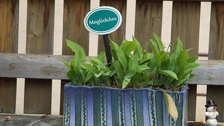 Impressionen vom Jury-Rundgang in Thurnau.