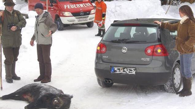 Kein Einzelfall: Häufig kommt es auf den Straßen zu gefährlichen Unfällen mit Wild. Symbolfoto: Archiv