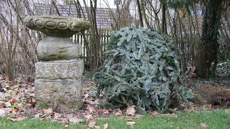 Garten des Forsthauses