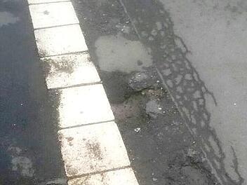 Foto: infrankenmelder-Userin "marga"